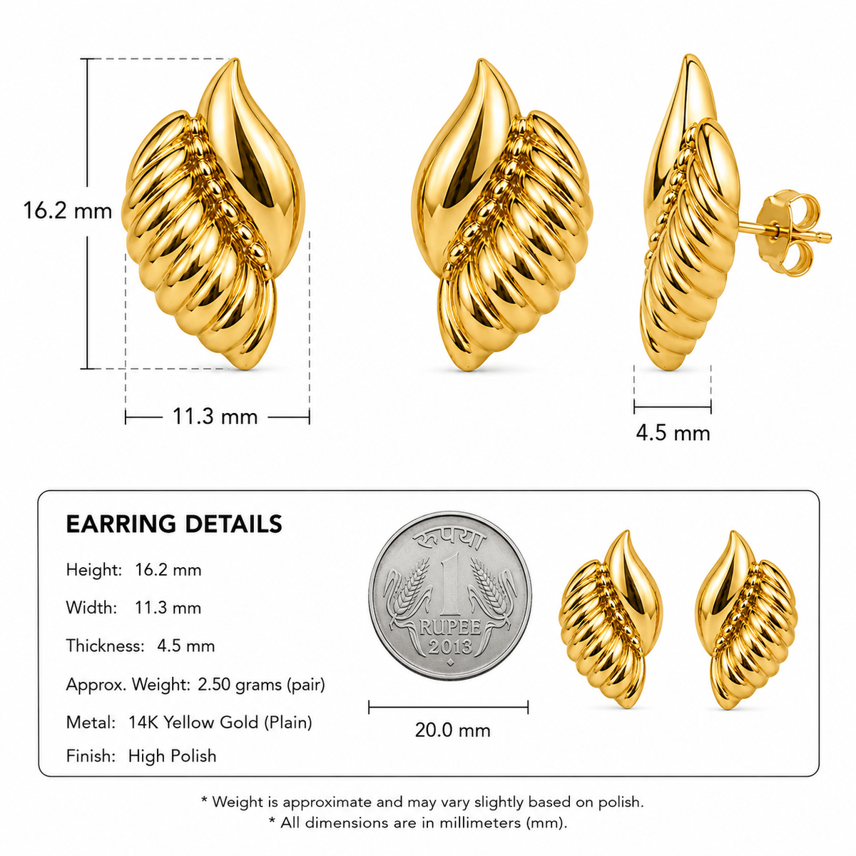 The Golden Shell Stud Earrings